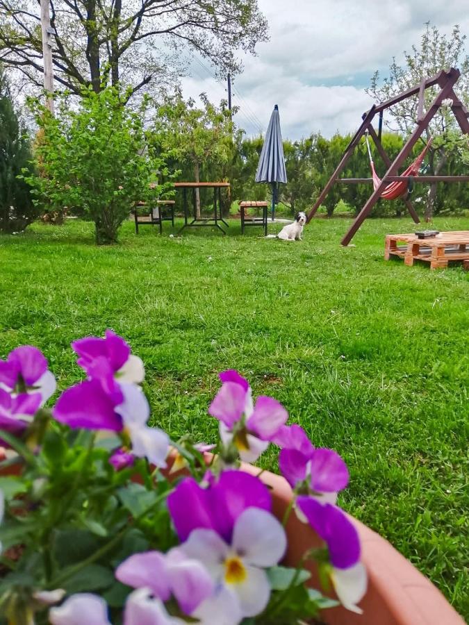 Gacka-Beautiful Place In Nature Otočac Eksteriør bilde